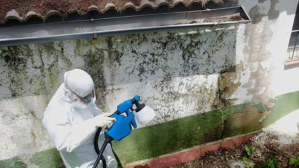 Top rated local Commercial Mold Remediation specialists in Woodville, VA
